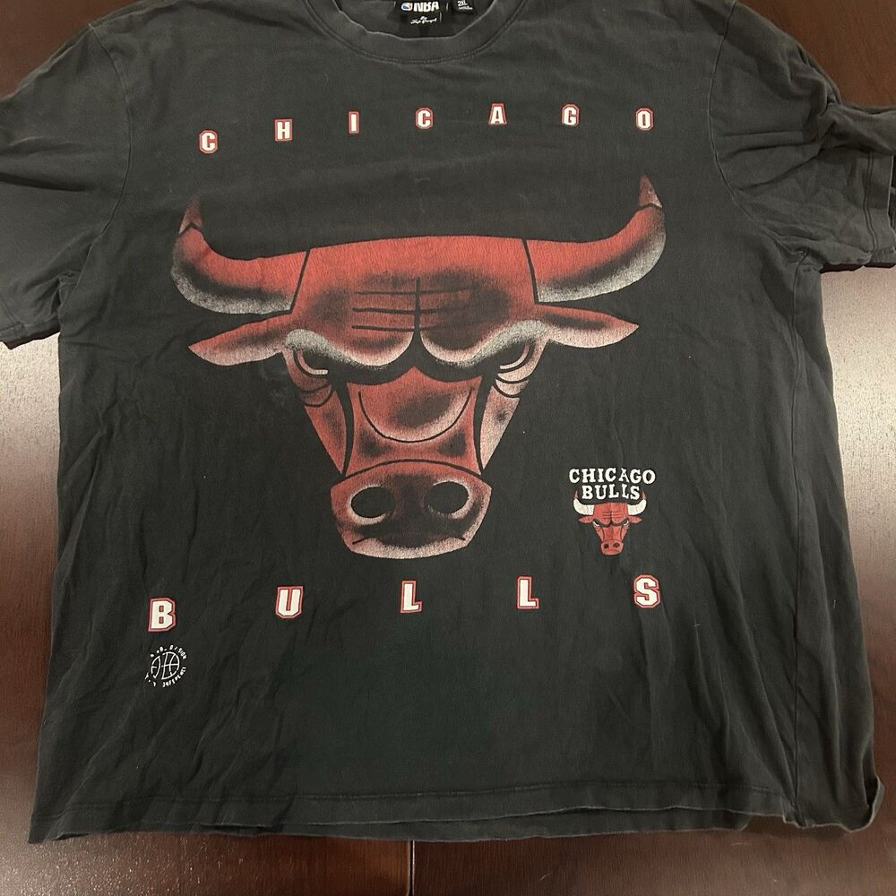 Chicago Bulls NBA by Josh Denzel Mens 2XL T-Shirt Eastern Conference Shirt